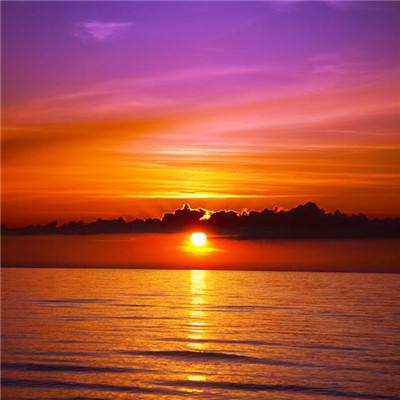 未来世界汽车追逐