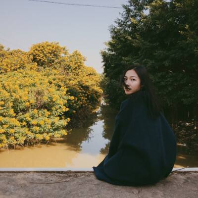 蜗牛鲍勃2中文版