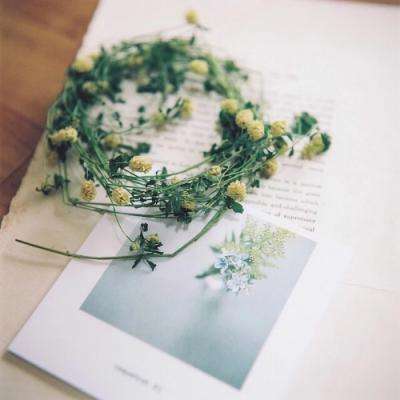 游戏王:决斗链接