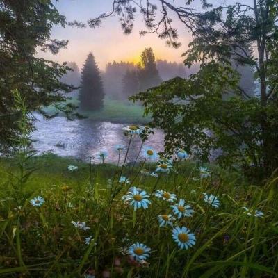 跑酷小子游伦敦